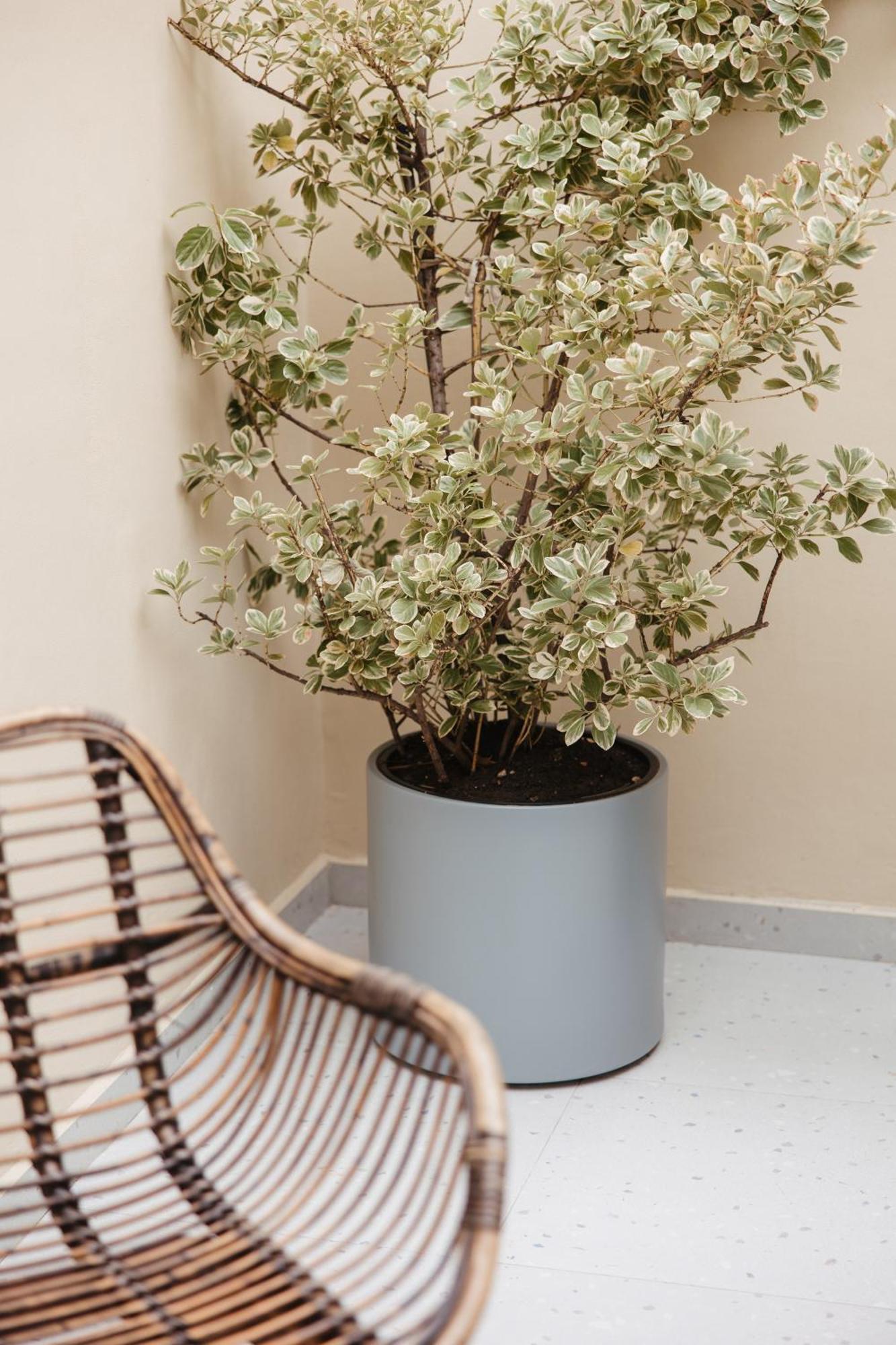Greygreen By Holistay Tirana Exterior photo
