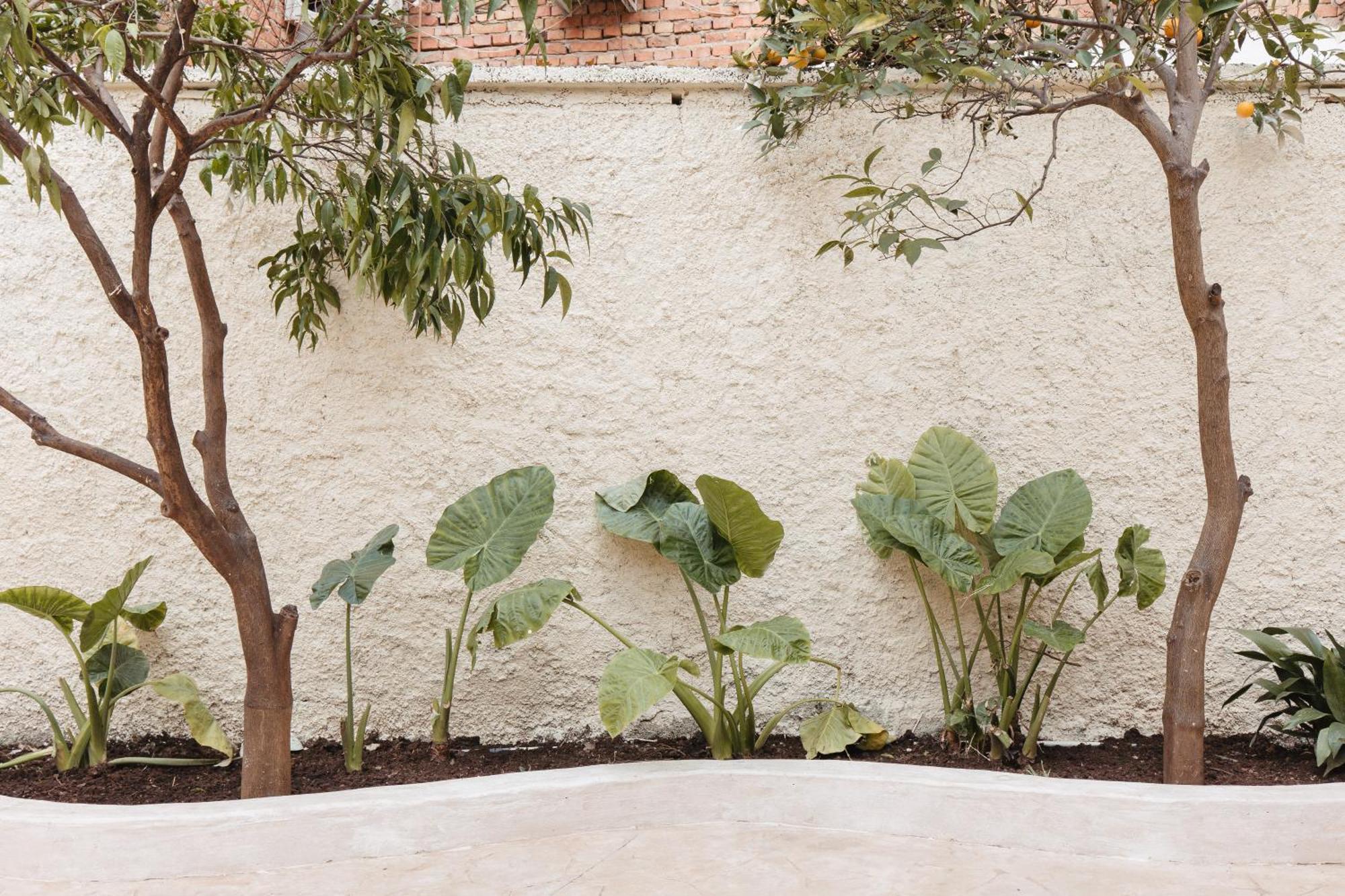 Greygreen By Holistay Tirana Exterior photo